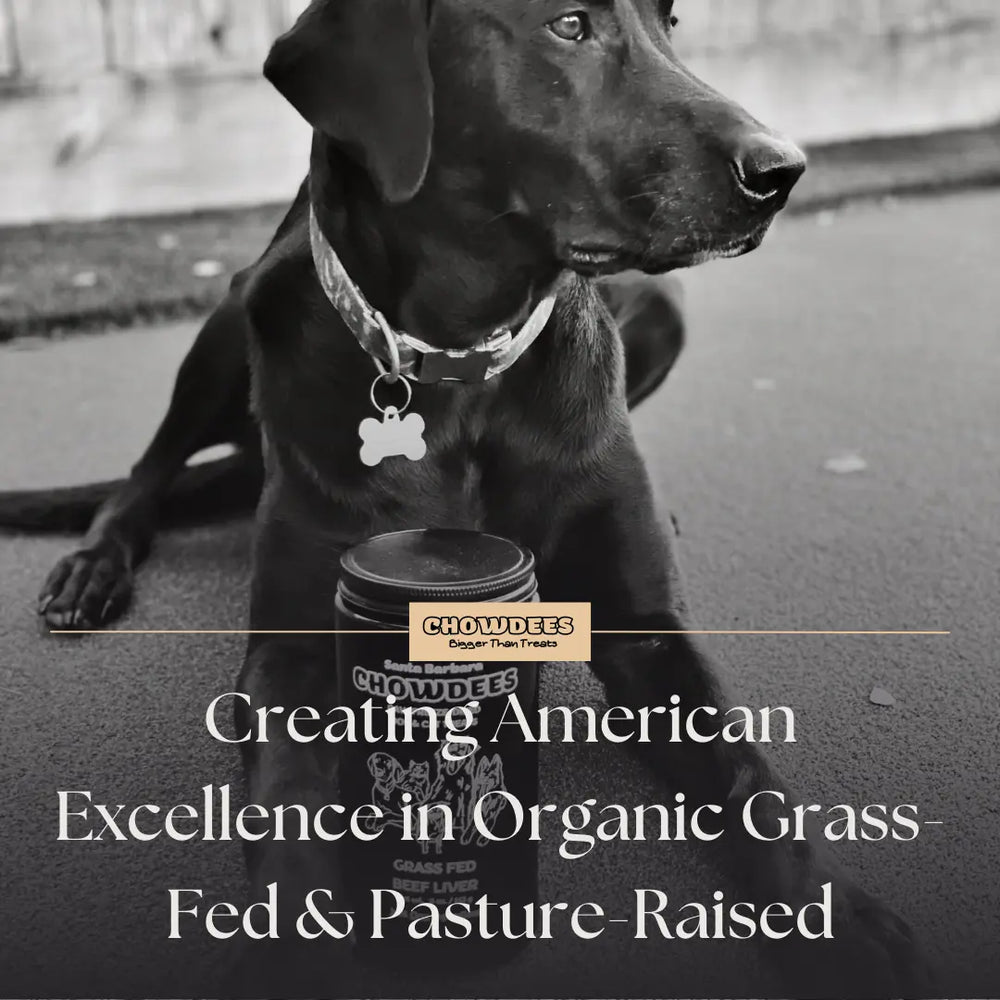 Chowdees Blog Creating American Excellence in Organic Grass-Fed, Pasture-Raised Beef Liver Treats: A Rarity in the Pet industry