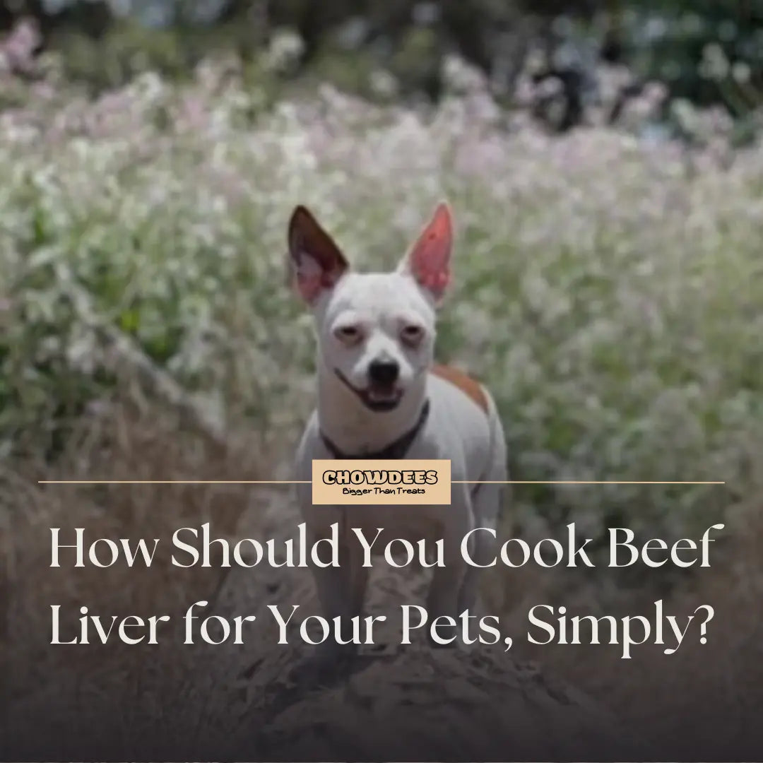 Chowdees Blog How Should You Cook Beef Liver for Your Pets, Simply?