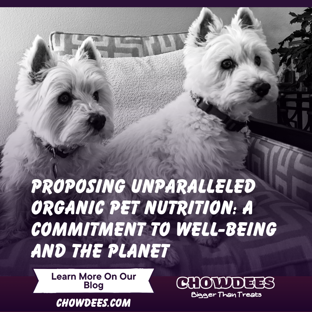 Proposing Unparalleled Organic Pet Nutrition: A Commitment to Well-being and the Planet