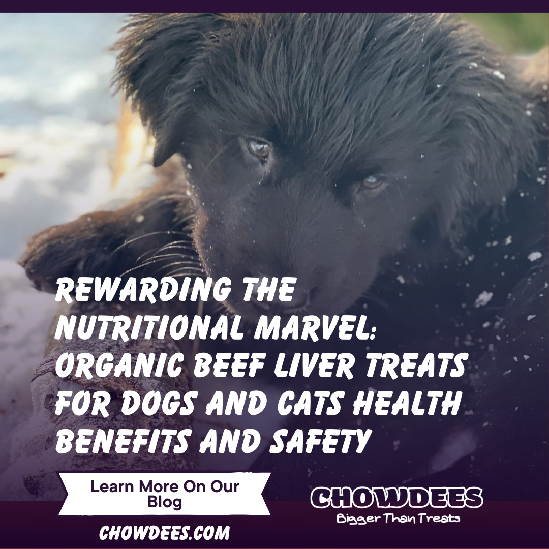 Rewarding the Nutritional Marvel: Organic Beef Liver Treats for Dogs and Cats Health Benefits and Safety